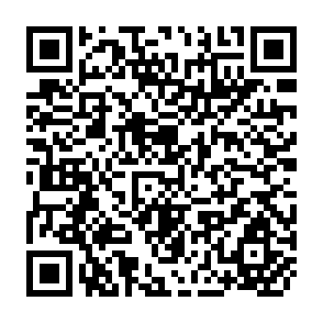 QR Code for Theories of Planning and Spatial Developemnt