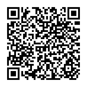 QR Code for Agriculture in the uruguay round: Interests of developing countries