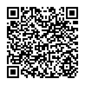 QR Code for Energy Pricing Policies in Development Countries- Theory and Empirical Evidence