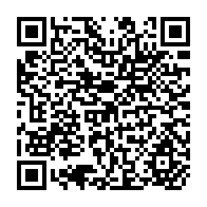 QR Code for Statistics From Scratch