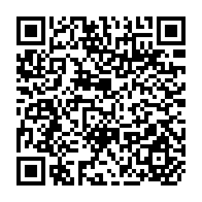 QR Code for Monitoring and Evaluation Guiding Principles