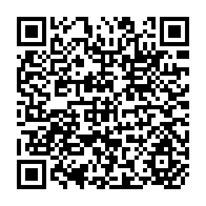 QR Code for Development and Planing