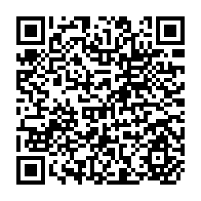 QR Code for Financial and Economic Analysis of Projects