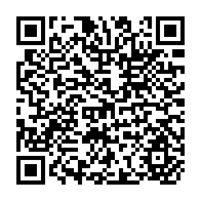 QR Code for Bulletin De L'Institut International De Statistique