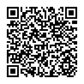 QR Code for Income and Nutritional Effects of the Commercialization of Agriculture in South Western Kenya
