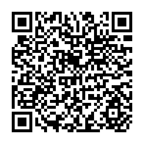 QR Code for Cooperative Dairy Development in Karnataka, India an Assessment