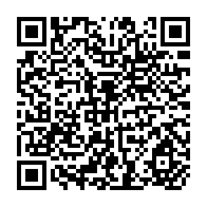 QR Code for Proceedings of the Second Meeting of the Asian Employment Planners