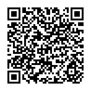 QR Code for The Distribution of Benefits from the Public Food Distribution System