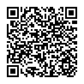 QR Code for Agricultural Price Policy for Developing Countries