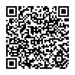 QR Code for Proportions, Prices and Planning