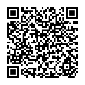 QR Code for Simulation and Optimization of Price Stabilization Policies : Maize in Kenya