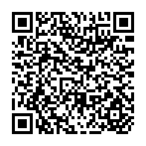 QR Code for The Brazilian Wheat Policy: Its costs, Benefits, and Effects on Food Consumption