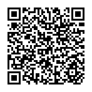 QR Code for Analysis of Development Problems : Studies of the Chilean Economy