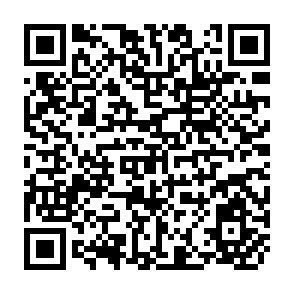 QR Code for International Service for National Agricultural Research: Study on the Organisation and Management of on Farm Client-Orientated Research (OFCOR)