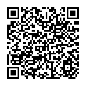 QR Code for The Theory of Quantitative Economic Policy