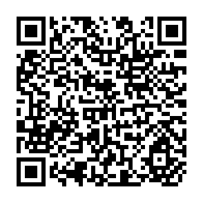 QR Code for Perspectivies in Development Administration