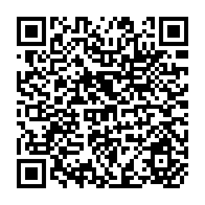 QR Code for Democratizing Asian Development: A Commitment to Leadership
