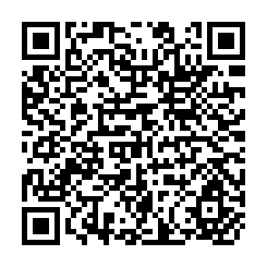 QR Code for The Political Economy of Peasant Farming in Ghana