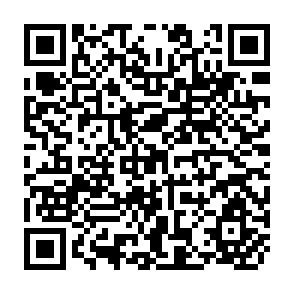 QR Code for Nutrition and Development