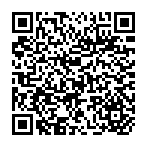 QR Code for Report- European Cooperation in Development Information and Documentation