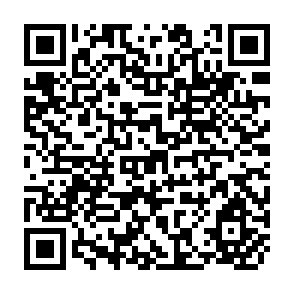 QR Code for Elements of Econometrics