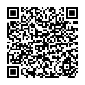 QR Code for Identification and Assessment of Export Projects