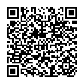 QR Code for The Assessment of the Nutritional Status of the Community