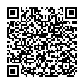 QR Code for Earnings, Schooling, Ability, and Cognitive Skills