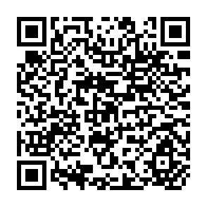 QR Code for Some Comments on Measures of Inequity in Irrigation Distribution