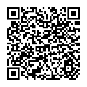 QR Code for Trade in Agricultural Products Among African Countries