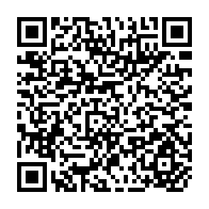 QR Code for Swanirvar as a Strategy for Endogenous Rural Development