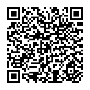QR Code for Political Dimensions of South Asian Cooperation: The Perspective for Bangladesh