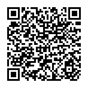 QR Code for The Structure of DFI Sponsored Investment in Bangladesh