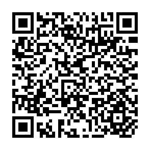 QR Code for Report of the Thirteeth Session of the FAO/UNEP Panel of Experts on Inytegrated Pest Control