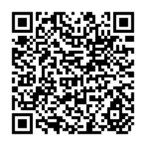 QR Code for Artisans in Economic Development Evidence from Asia