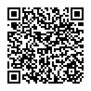 QR Code for Rice Price Fluctuation And An Approach to Price Stabilization In Bangladesh