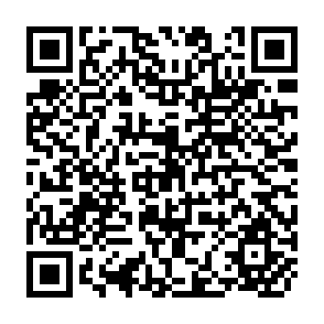 QR Code for Agriculture in Gatt Negotiations and Developing Countries
