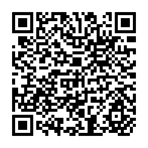 QR Code for Report on the National Situation:Zaire