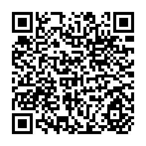 QR Code for Endogenous Technology And The Measurement Of Productivity