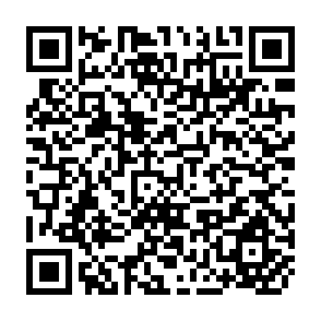 QR Code for The Role of Animal-Breeding Studies in Farming Systems Research