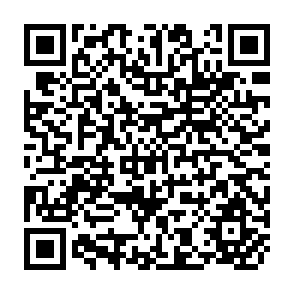 QR Code for The Rate of Return on Educational Expansion