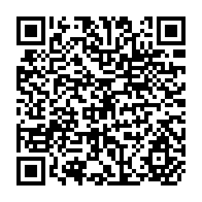 QR Code for Improvements in Basic Agricultural Statistics in Support of African Food Strategies and Policies and the Role of Donor Agencies