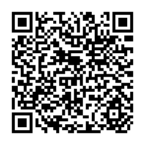 QR Code for Admission Requirements for International Students