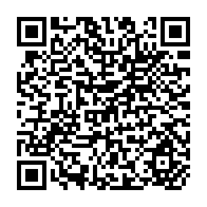 QR Code for Productivity And Employment Implications Of Small-Scale Farming