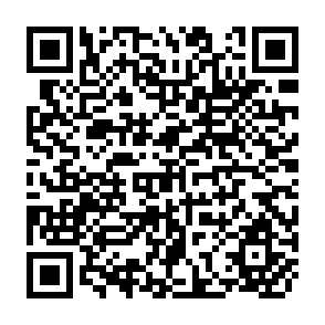 QR Code for Productivity And Employment Implications Of Small-Scale Farming