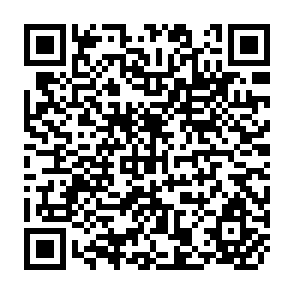 QR Code for Food and Development: The Critical Nexus Between Developing and Developed Countries
