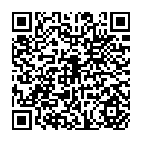 QR Code for Lectures On Agricultural Growth And Employment: An Equitable Growth Strategy And Its Knowledge Needs