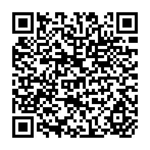QR Code for Economic Debelopment of ofakim: A Few Preliminary Considerations