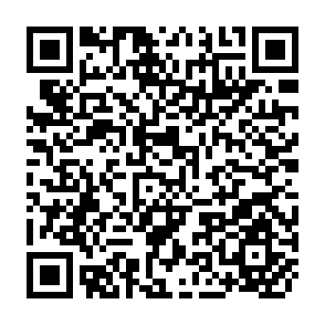QR Code for Towards a Theory of Rural Development