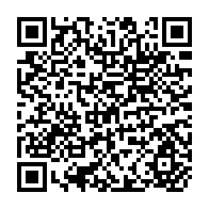 QR Code for Draft Power Constraints on Turnaround Time in Bangladesh: A Pilot Study